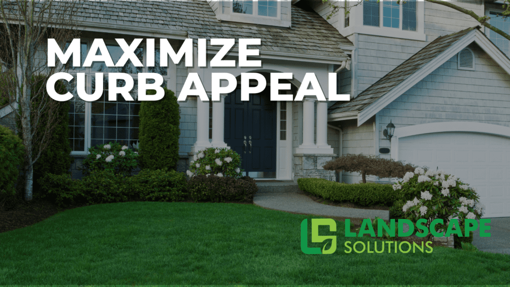 Curb Appeal