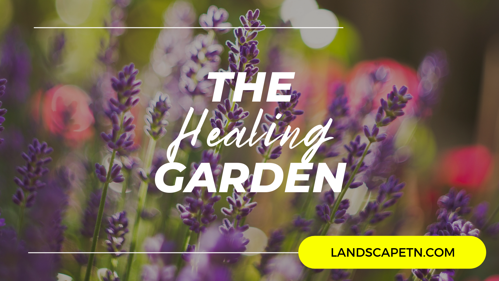 The Healing Garden