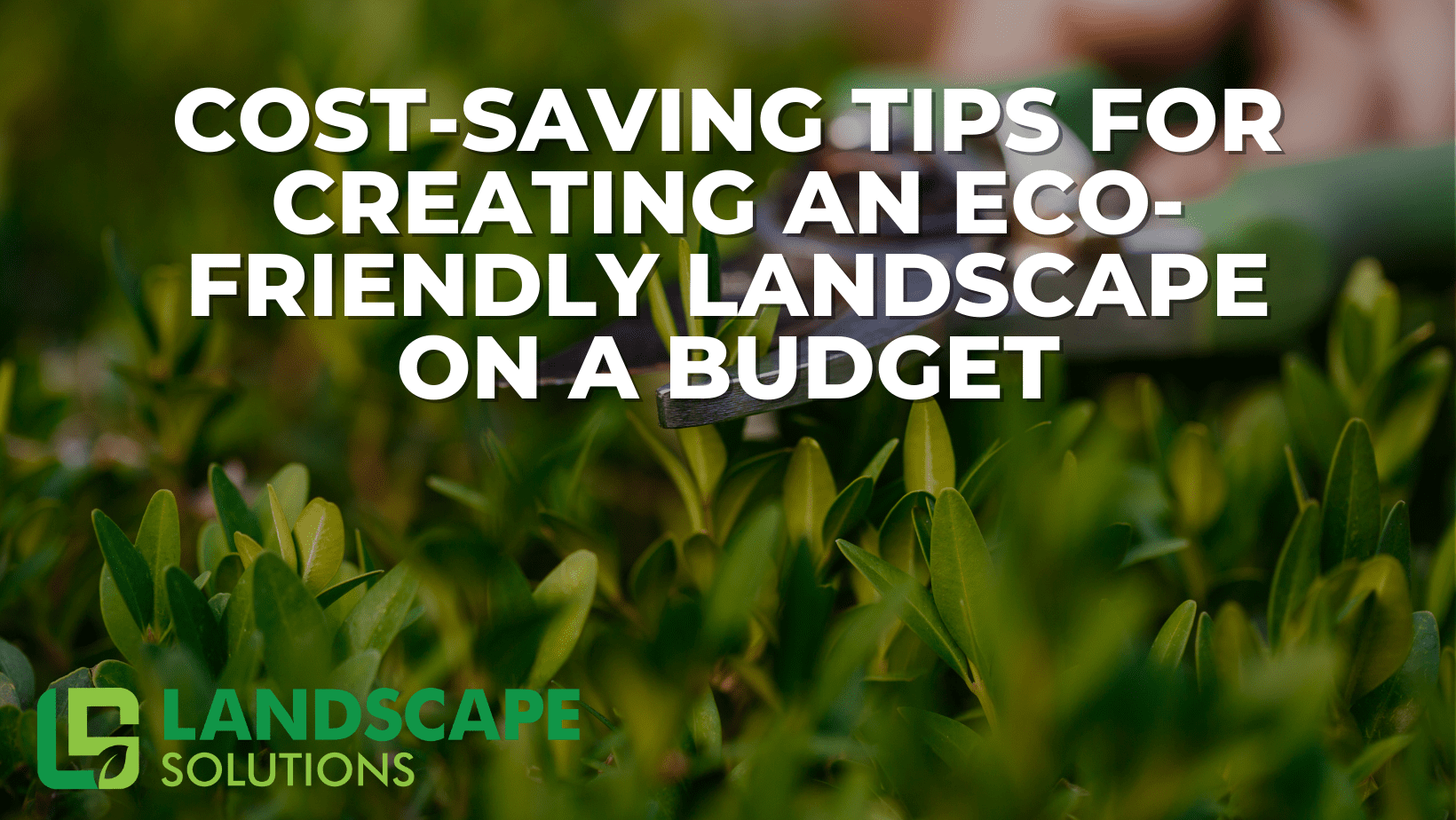 Budget Friendly Landscaping
