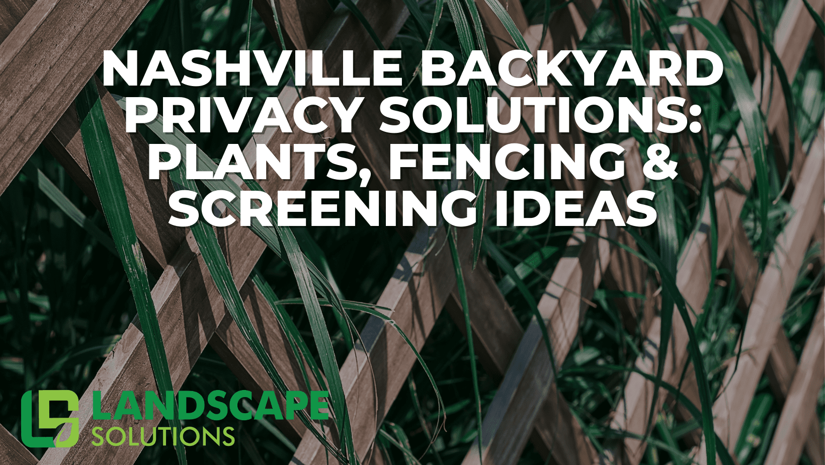 Nashville Landscaping Privacy Solutions