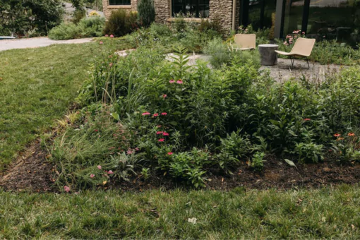 Landscape Design