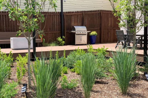 Landscape Design