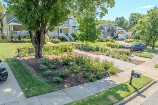 Landscape Design